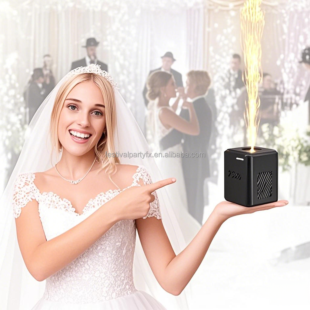 Portable Battery Powered Cold  - огляд і ціна Event Party Dj